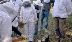De la fleur au producteur