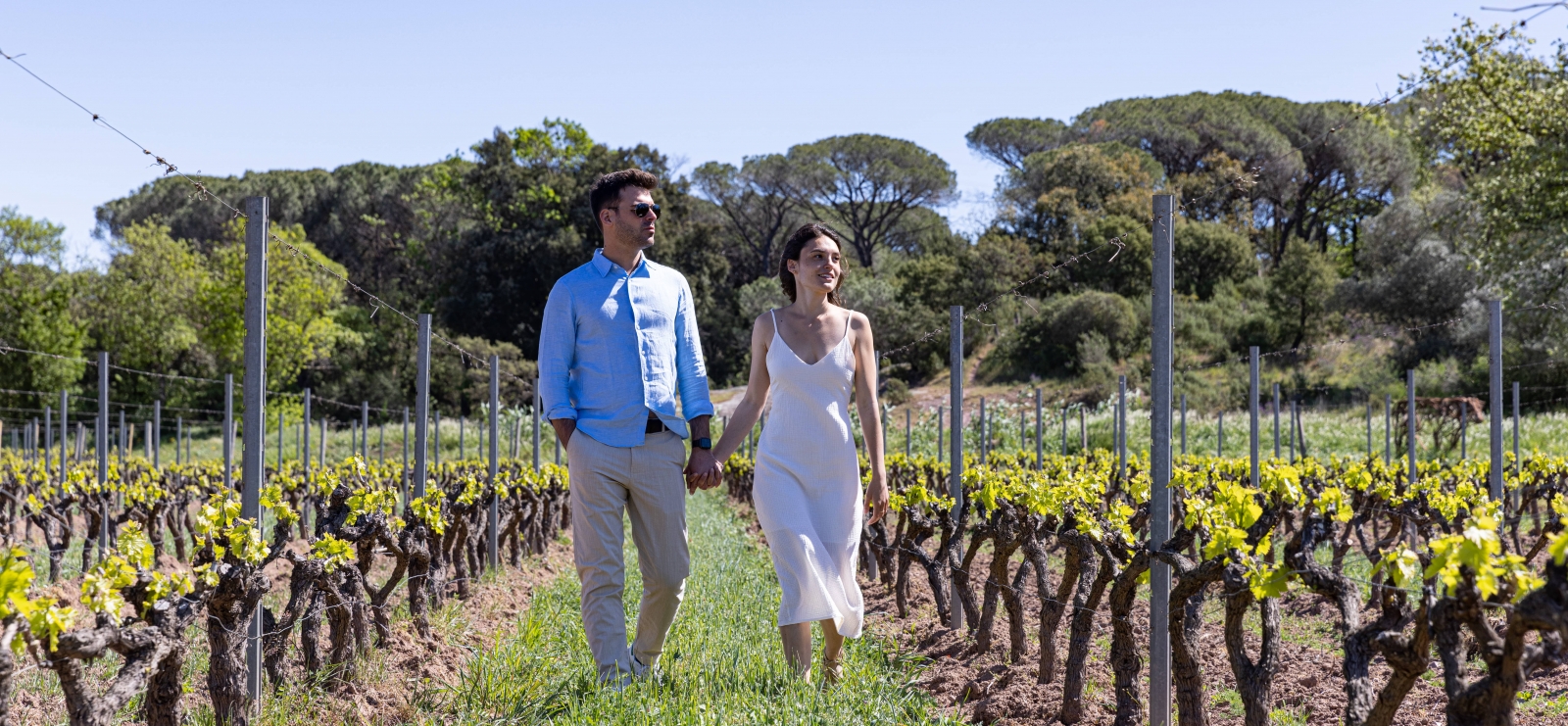 Balade romantique dans les vignes