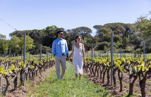 Balade romantique dans les vignes