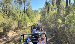 Okwide - Rando guidée en buggy électrique