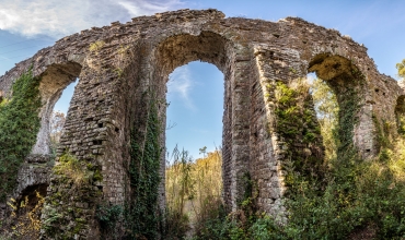 Forum Julii, colonie Romaine 'La Pompei Provençale'