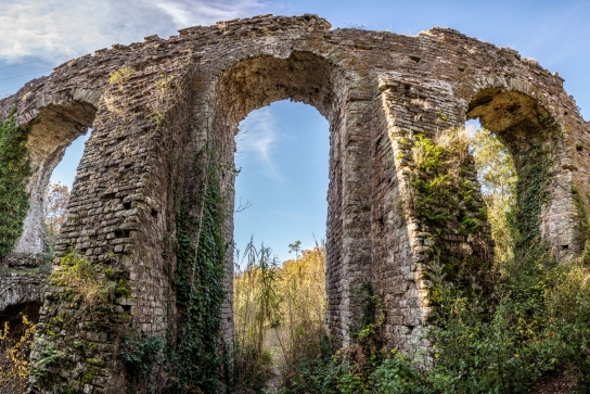 Forum Julii, colonie Romaine 'La Pompei Provençale'
