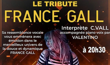 Concert Tribute France Gall