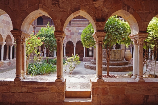 Le cloître de la Cathédrale de Fréjus