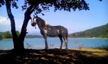 Au bord du lac de St Cassien