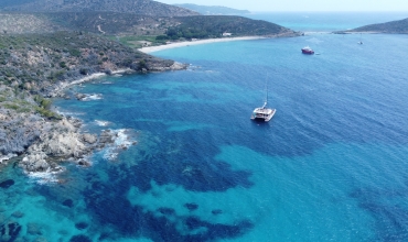 Sortie catamaran journée Les 3 Caps avec AMC Cape Grace