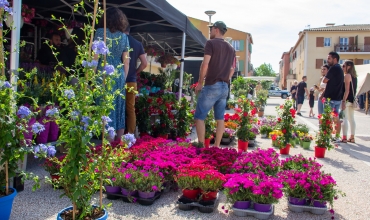 Fête du printemps et des plantes