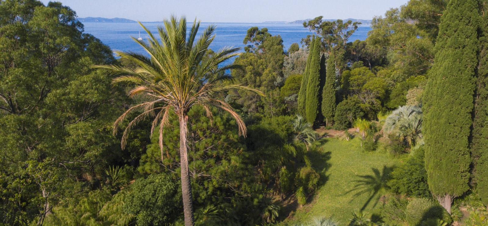 Domaine du Rayol, Jardin d'Amérique subtropicale