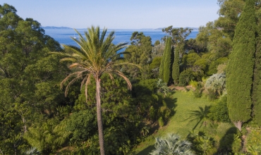 Domaine du Rayol, Jardin d'Amérique subtropicale