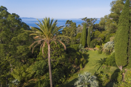 Domaine du Rayol, Jardin d'Amérique subtropicale