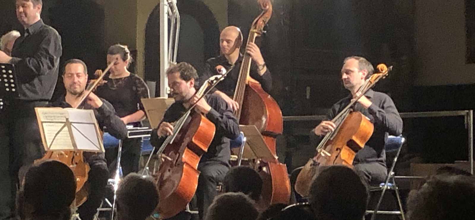 festival Cellofan