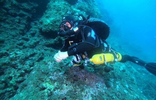 plongée sous marine