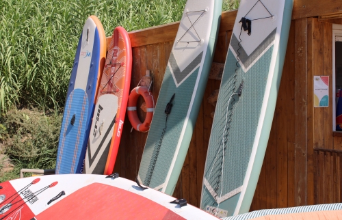 Flotte paddle