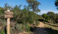 Randonnée : Sentier de l'Agriotier - Vallon de la Gaillarde