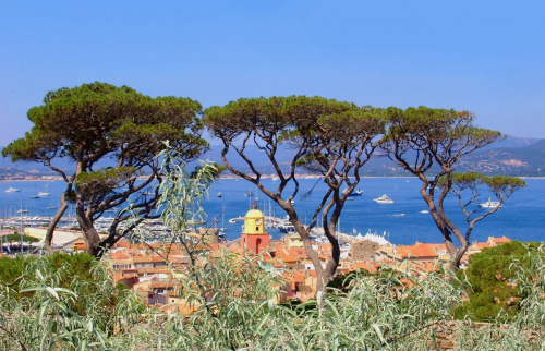 Saint-Tropez-Groupes-Patrimoines