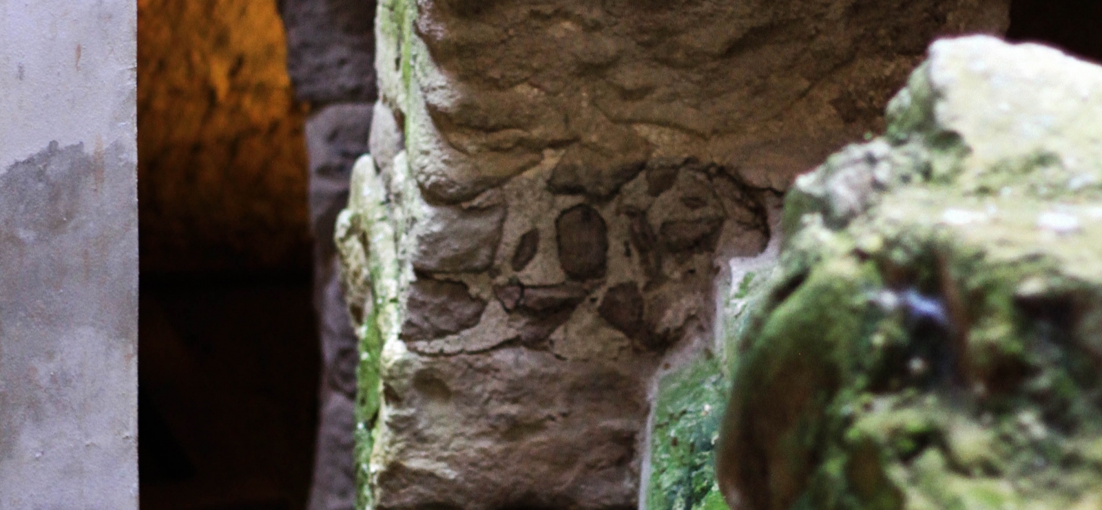 Visite guidée 'Crypte du Vivier Romain et Musée Archéologique'