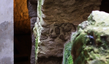 Visite guidée 'Crypte du Vivier Romain et Musée Archéologique'