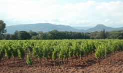 Château de Vaucouleurs