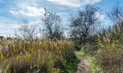 Etangs de Villepey - Fréjus - St Aygulf