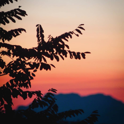 Photo instagram