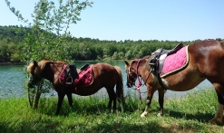 Les Poun's en Herbe