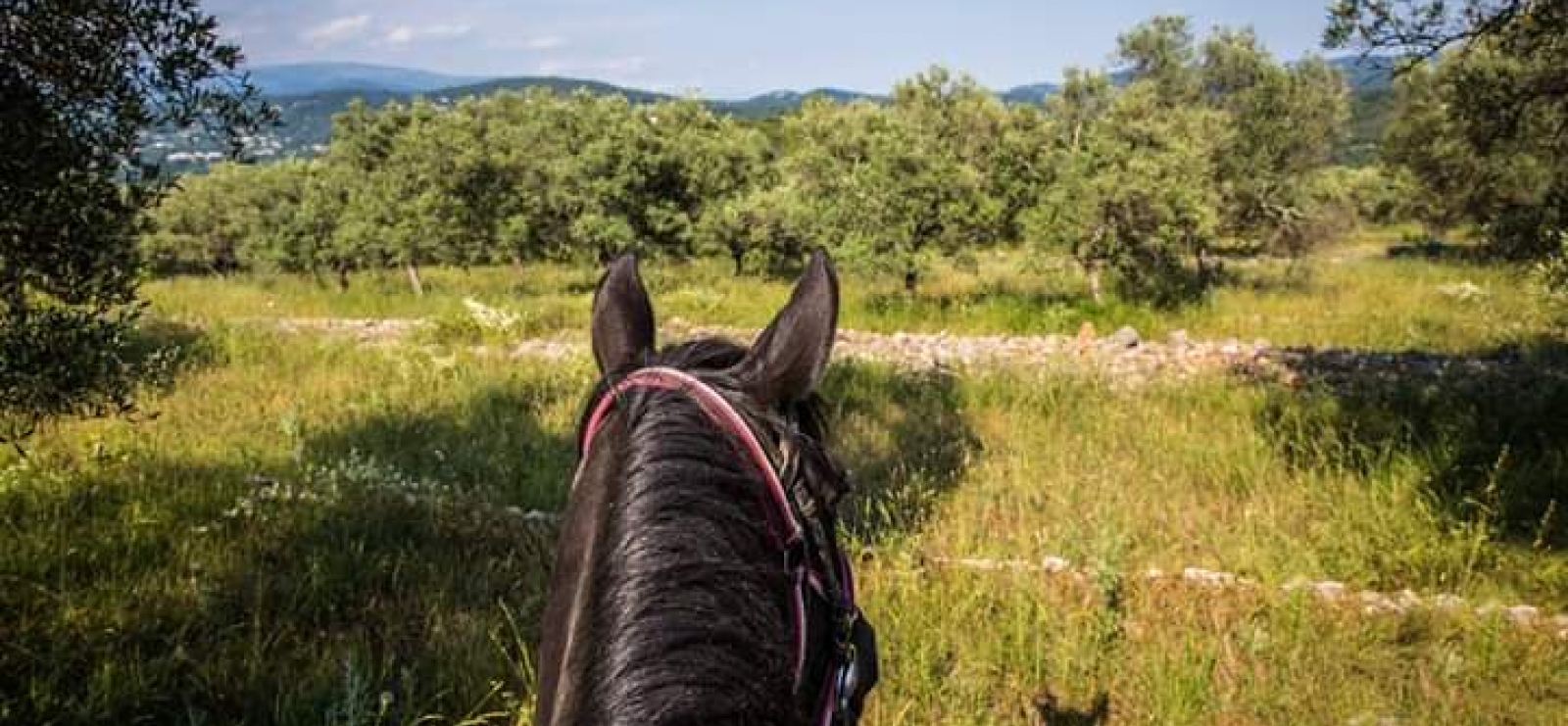 Haras des Villards: Balade demi-journée 'Vue mer et montagne'