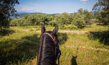 Haras des Villards: Balade demi-journée 'Vue mer et montagne'