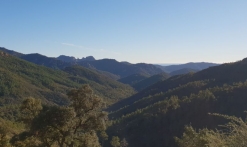 Location de VTT électrique dans l'Estérel - 1/2 journée ou journée