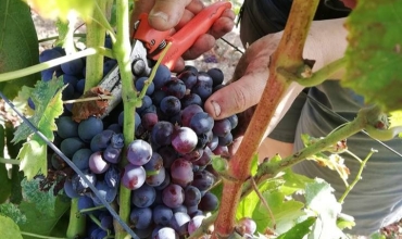 Au cœur de la nature provençale