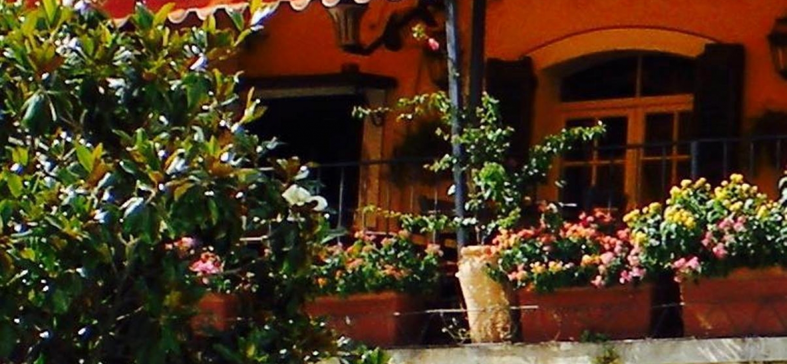 La Terrasse fleurie