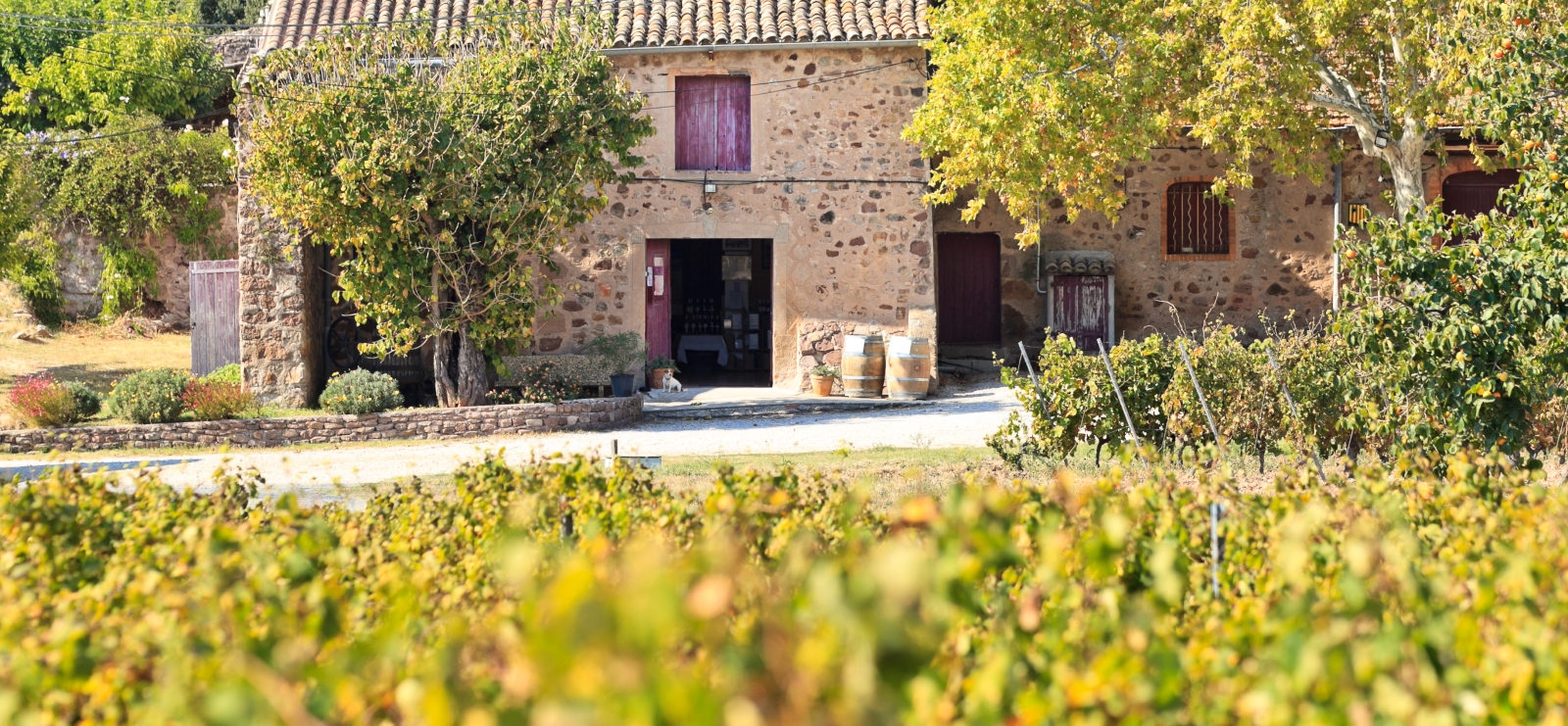 Château de Vaucouleurs