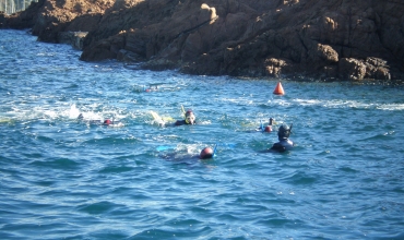 Randonnée palmée - Port de Boulouris