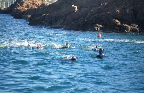 Randonnée palmée - Port de Boulouris