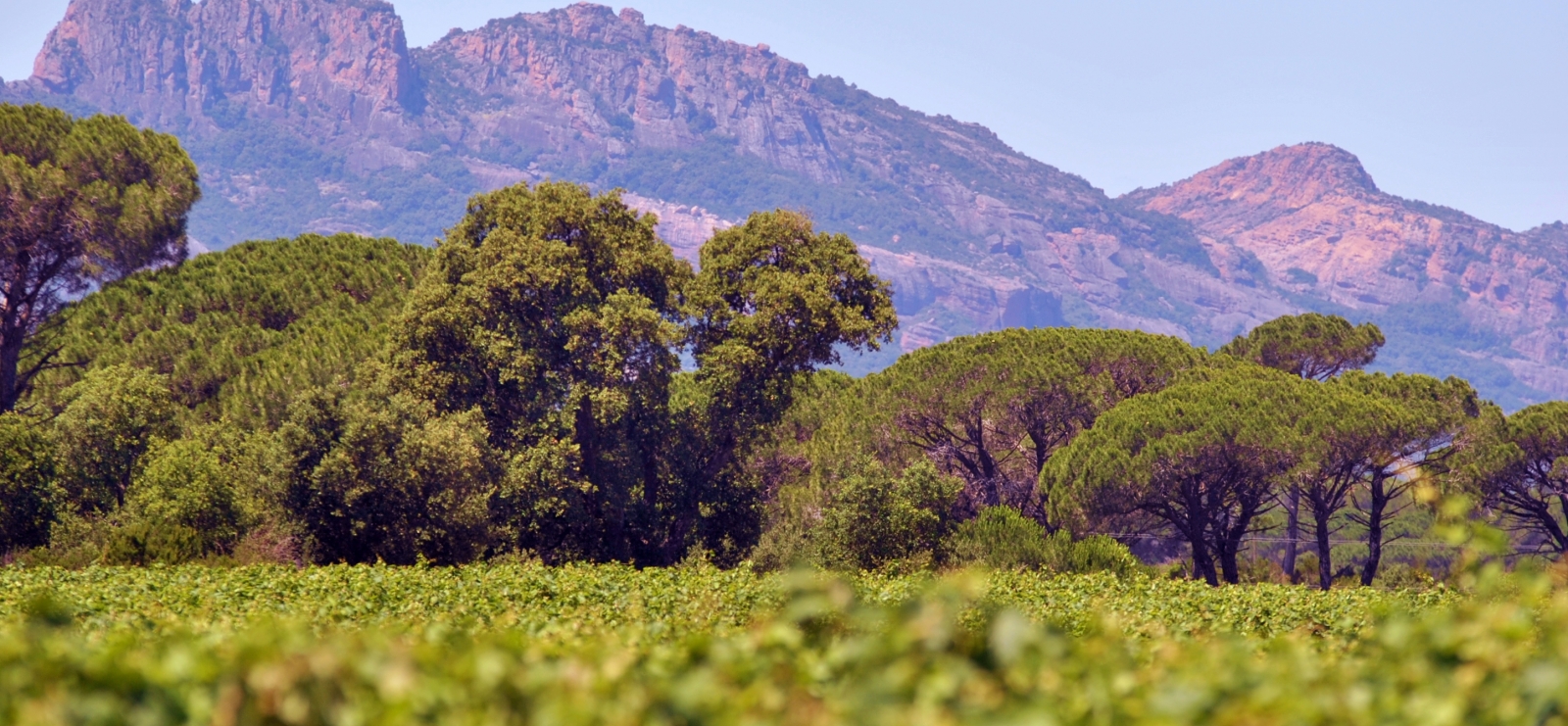 Immersion dans un domaine solidaire et engagé_Puget-sur-Argens