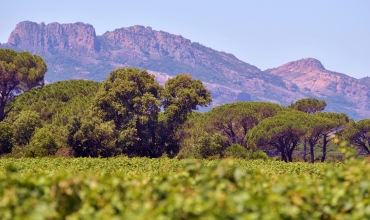 Immersion dans un domaine solidaire et engagé_Puget-sur-Argens