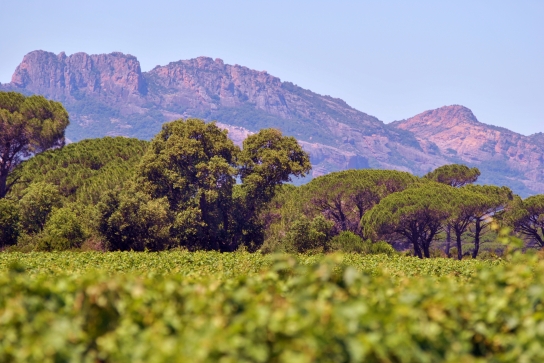 Immersion dans un domaine solidaire et engagé_Puget-sur-Argens