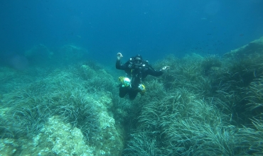 plongée sous marine