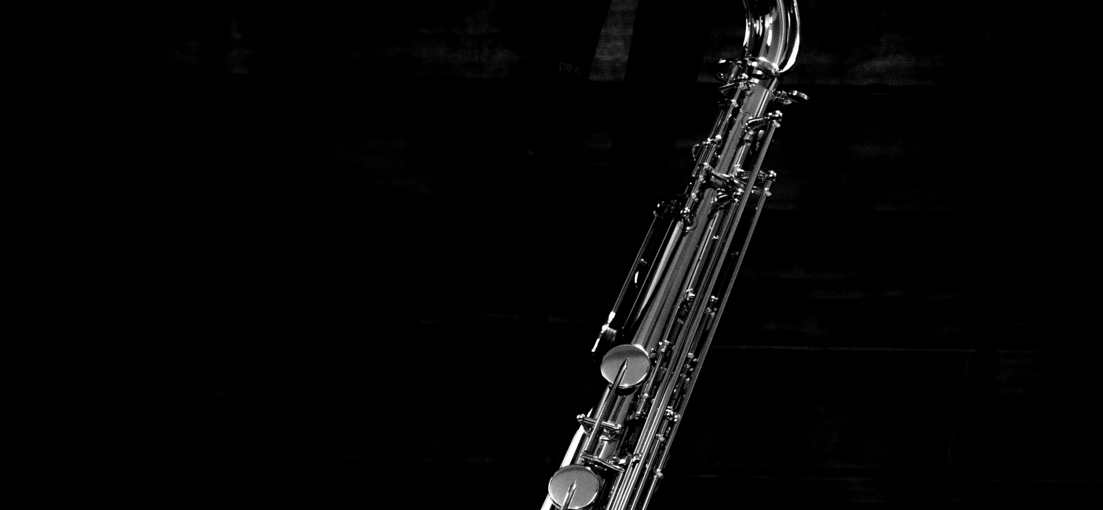Animations musicales de Noël - saxophoniste