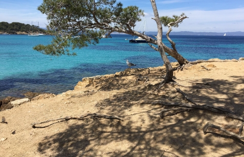 Port Cros- Porquerolles