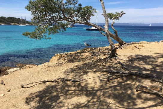 Port Cros- Porquerolles