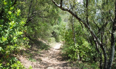 Montauroux - Trail Naturatrail