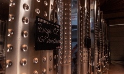 Visite guidée Clos des Roses