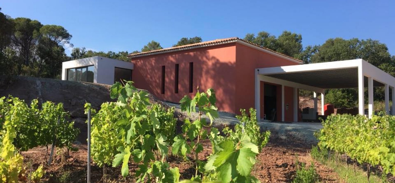 Domaine Réal Saint Jean