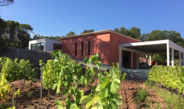 Domaine Réal Saint Jean