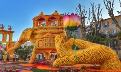 Fête du citron, jardin de Biovès
