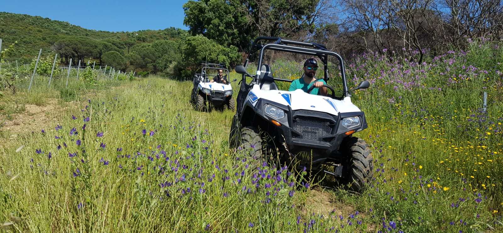 Balades Buggy avec Esterel Aventures
