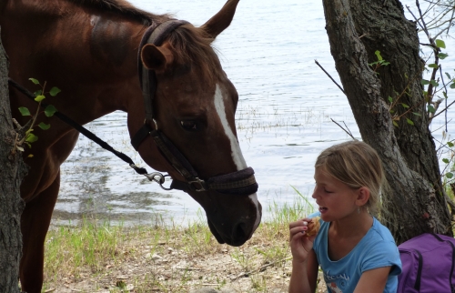 Haras des Villards: Séance d'initiation poney/cheval