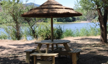 tables exotiques arena