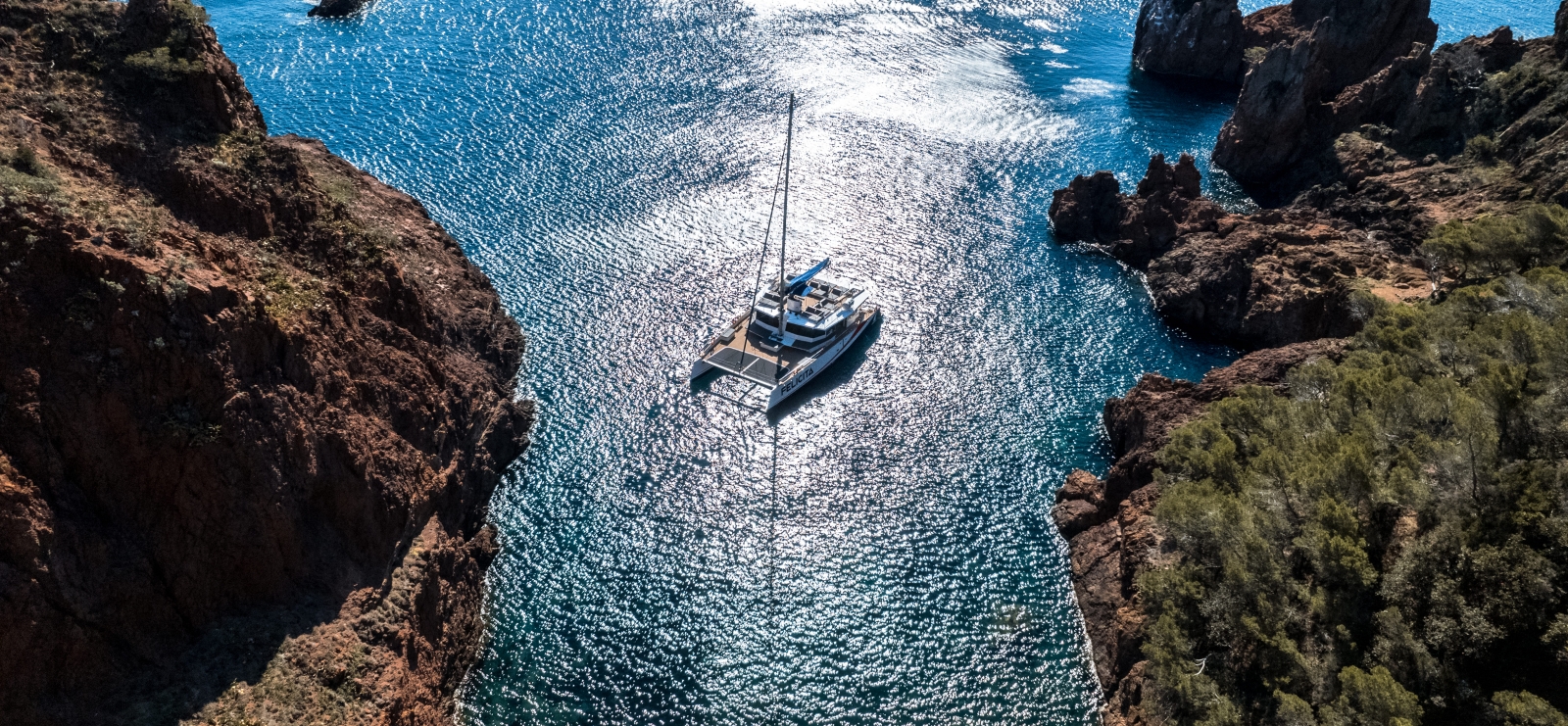 Sortie en maxi catamaran et dîner avec AMC Cape Grace