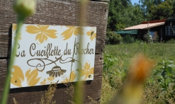 La Cueillette du Rocher